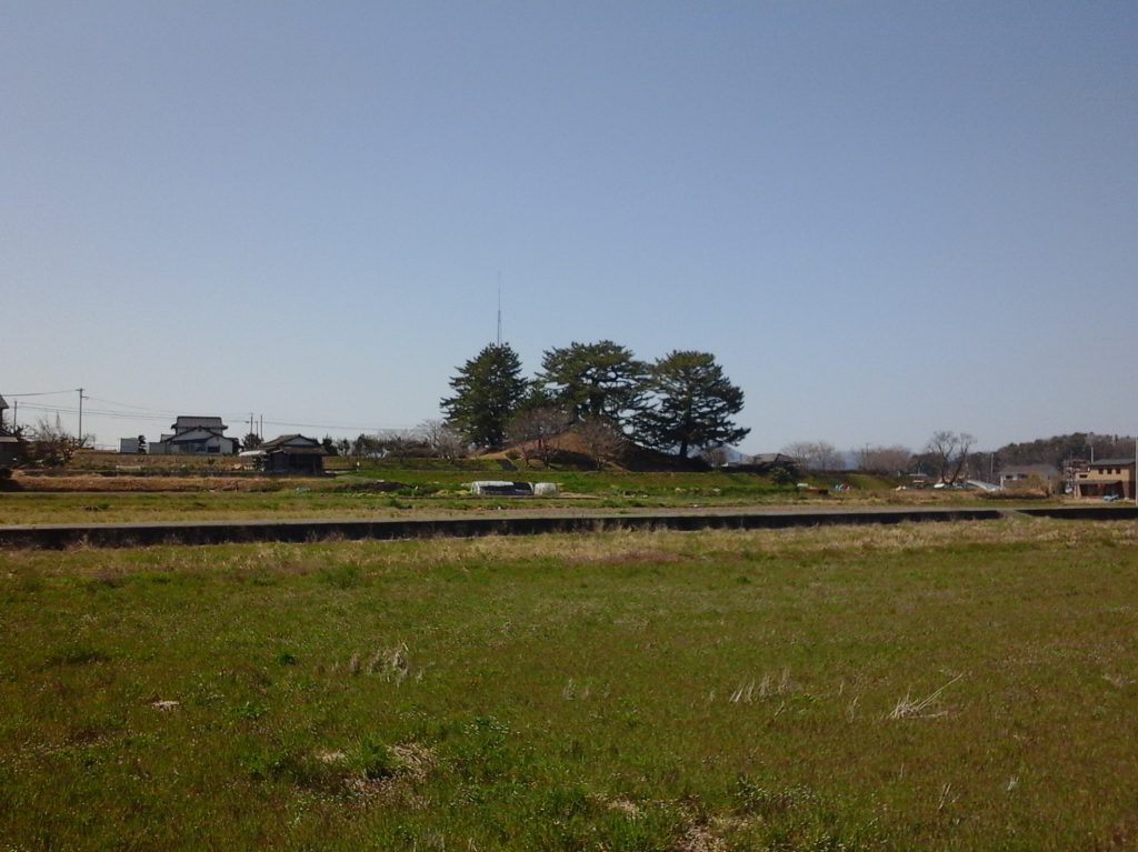 すもうとり遠景