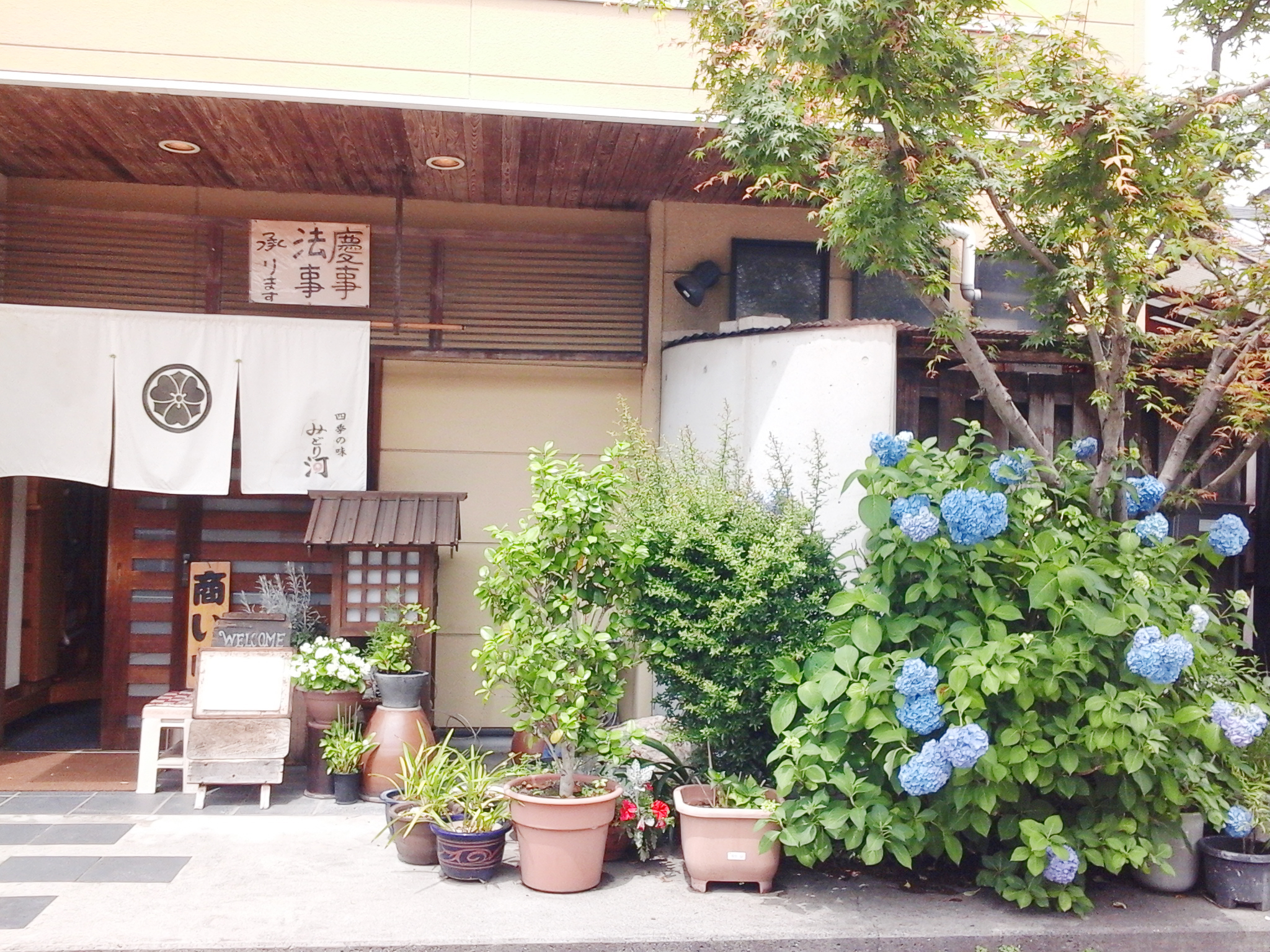 四季の味みどり河｜外観・近景