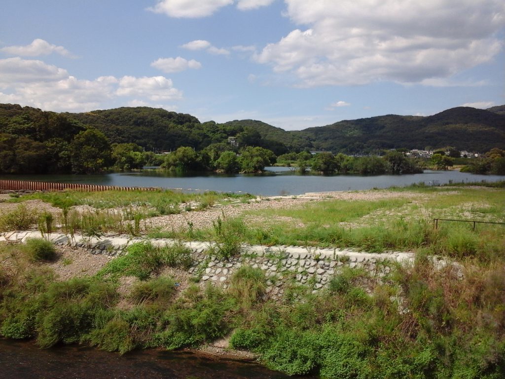 土手の上から見る景色