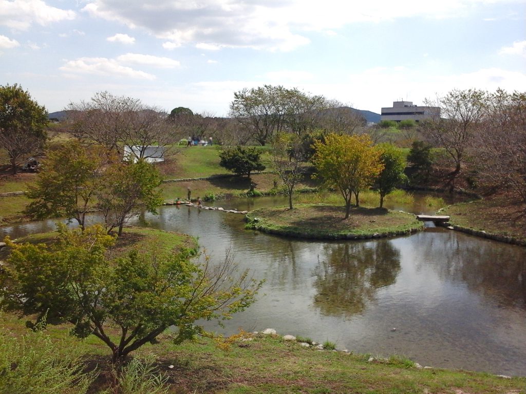 浅瀬の池