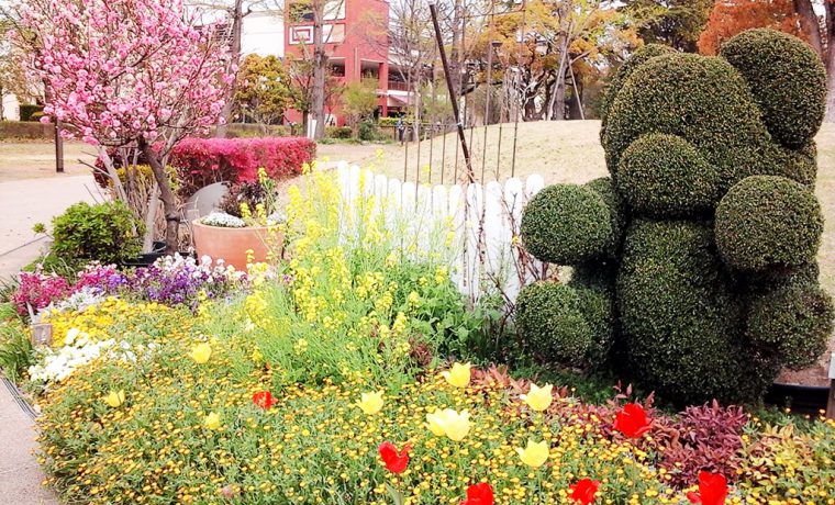 みらい公園に咲く花々