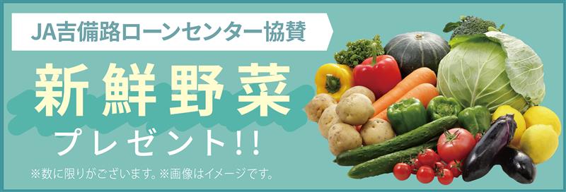 【倉敷市林】家事ラク動線と適材適所の収納!デザインと高性能を両立した完成見学会