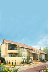 塗り壁の自然素材の家